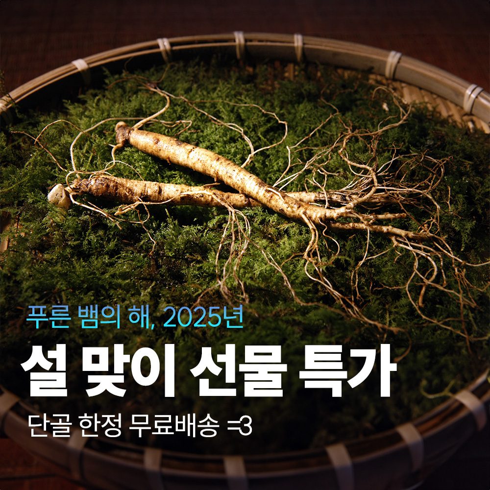 [설날맞이 선물 특가] 🧧 2025년 설날에는 건강챙길겸 산양산삼 선물 어떠신가요~?