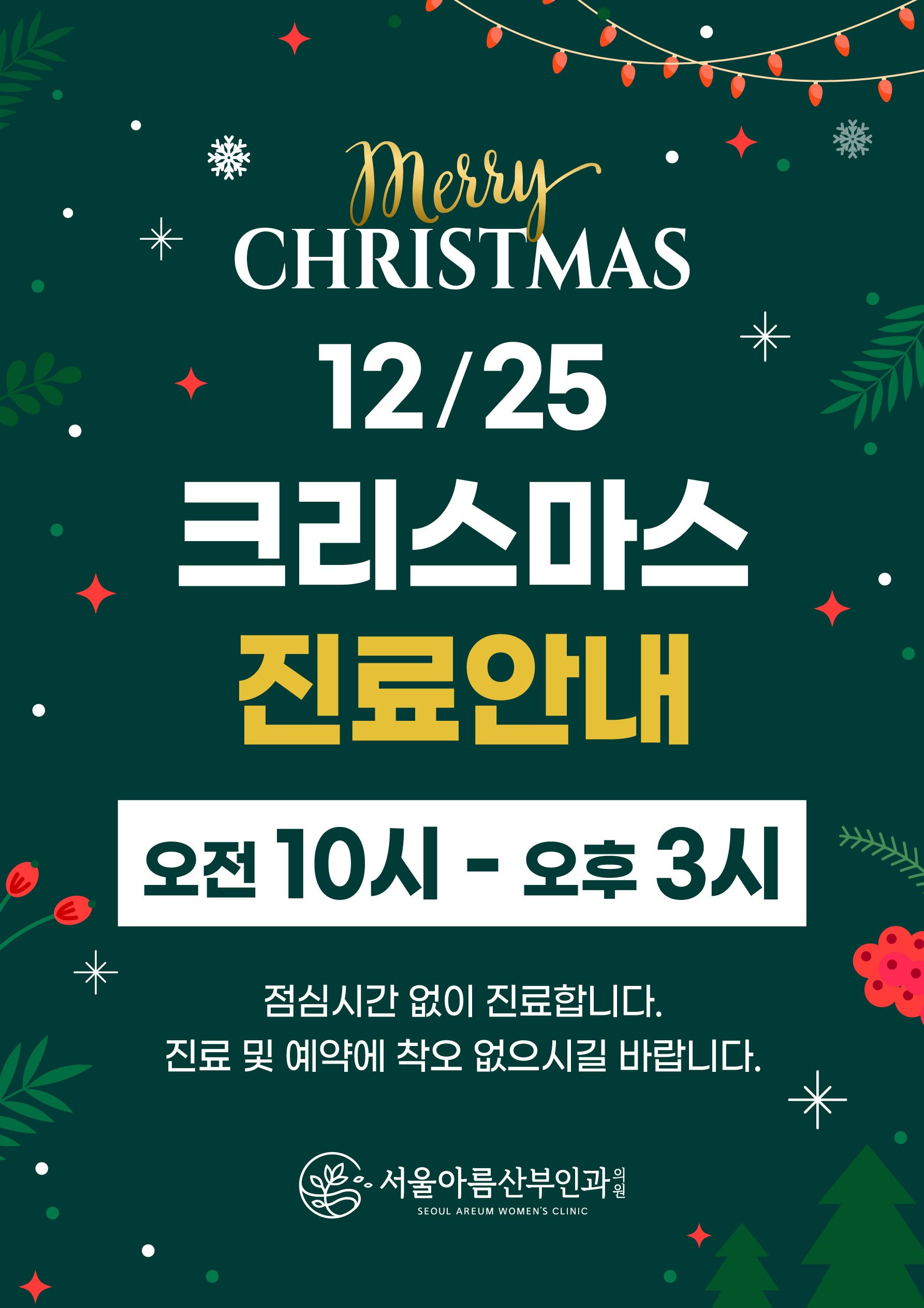 🎄 크리스마스 10시~3시 진료합니다🎄