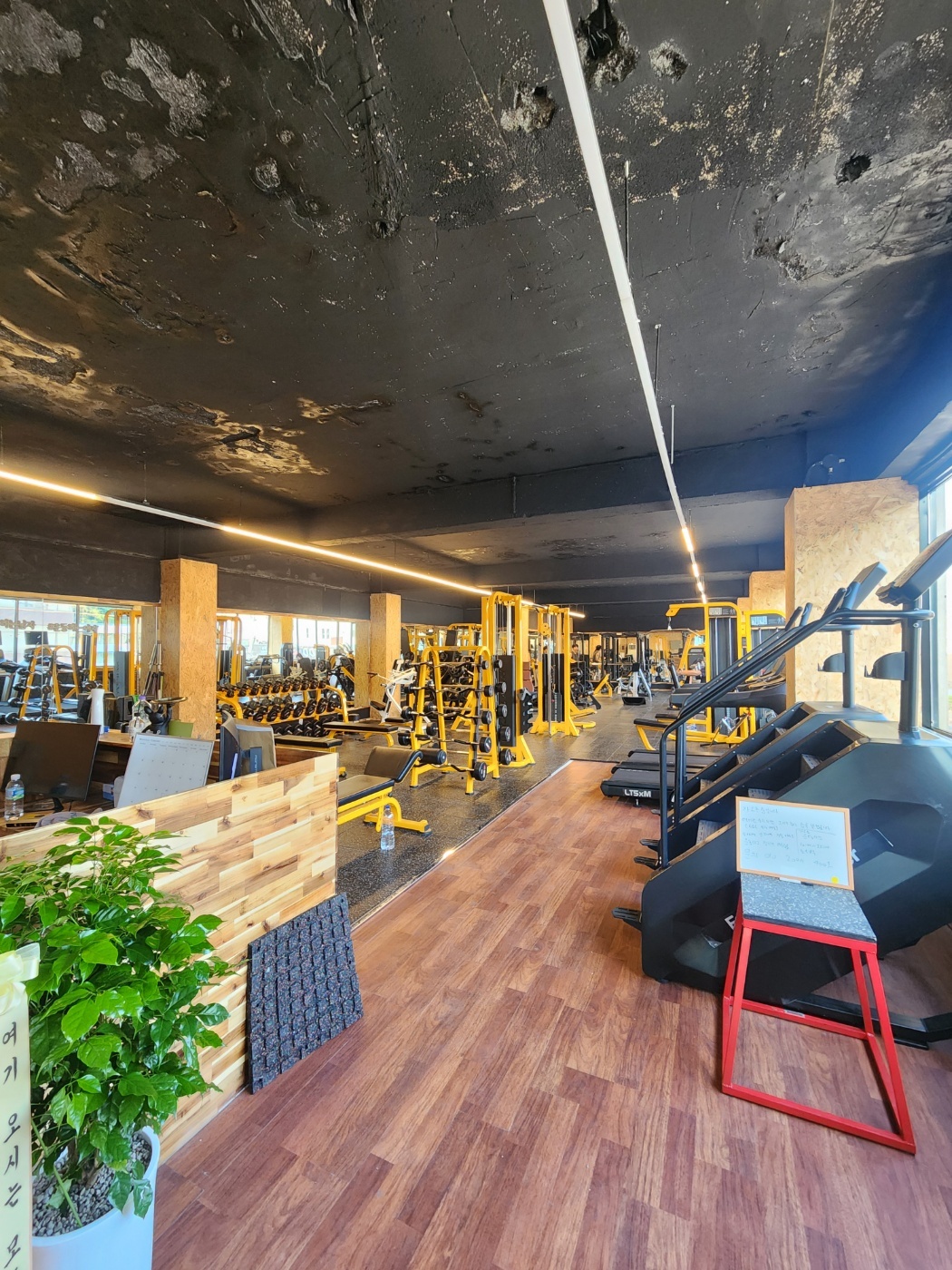 고릴라GYM 홍대점 picture 5