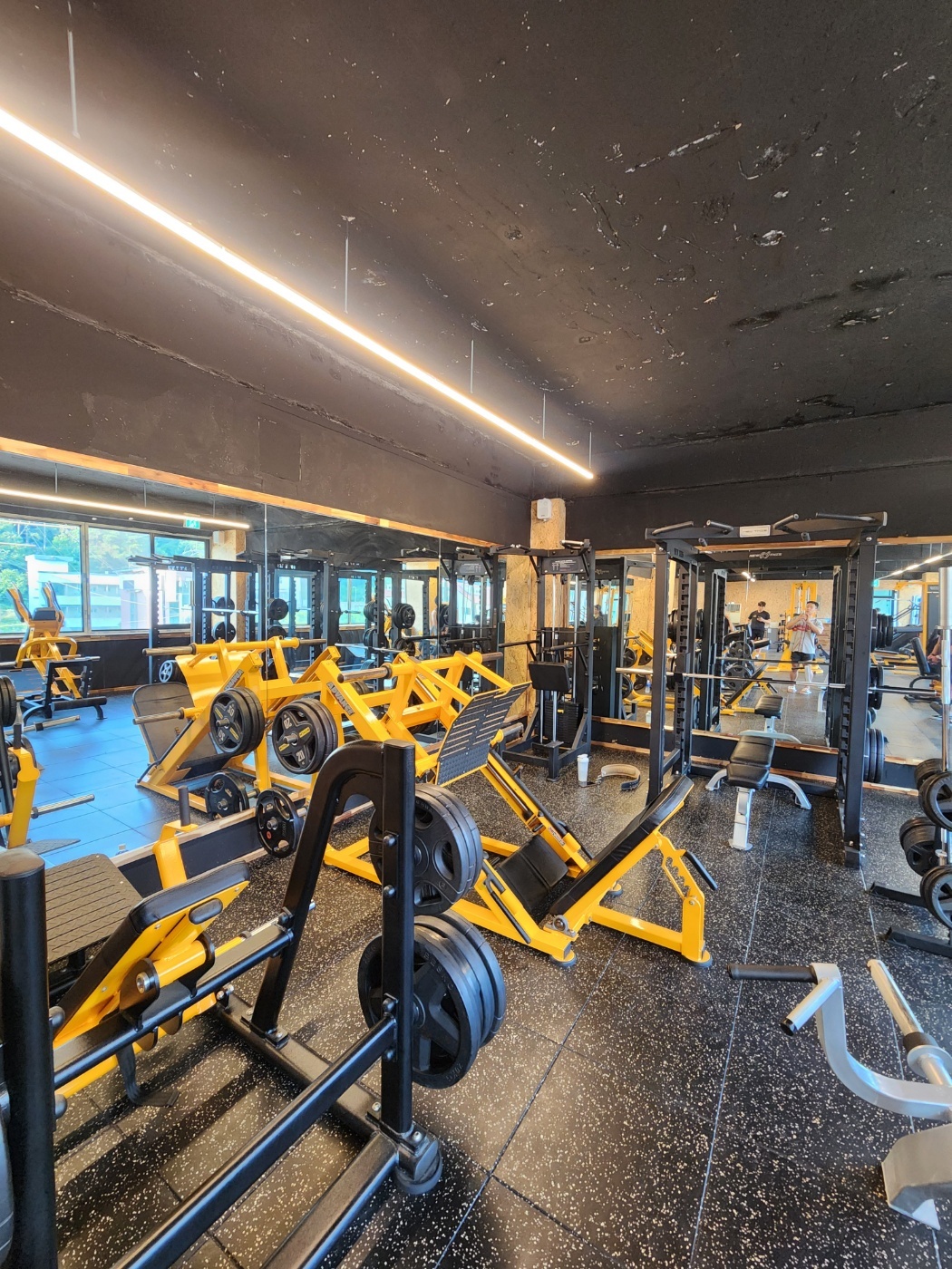 고릴라GYM 홍대점 picture 3