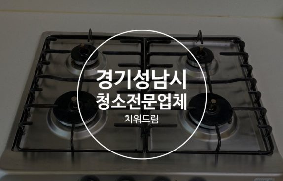 성남시 청소 전문업체 