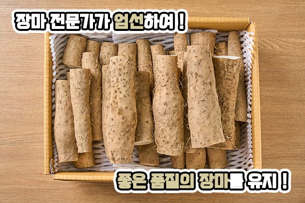 땅속의 장어, 국내산 장마 특품 2kg~