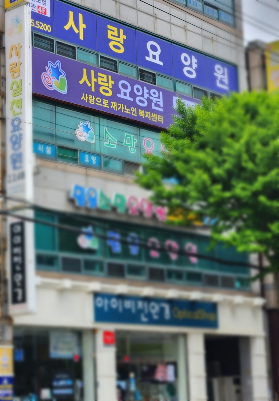 사랑요양원 picture 6