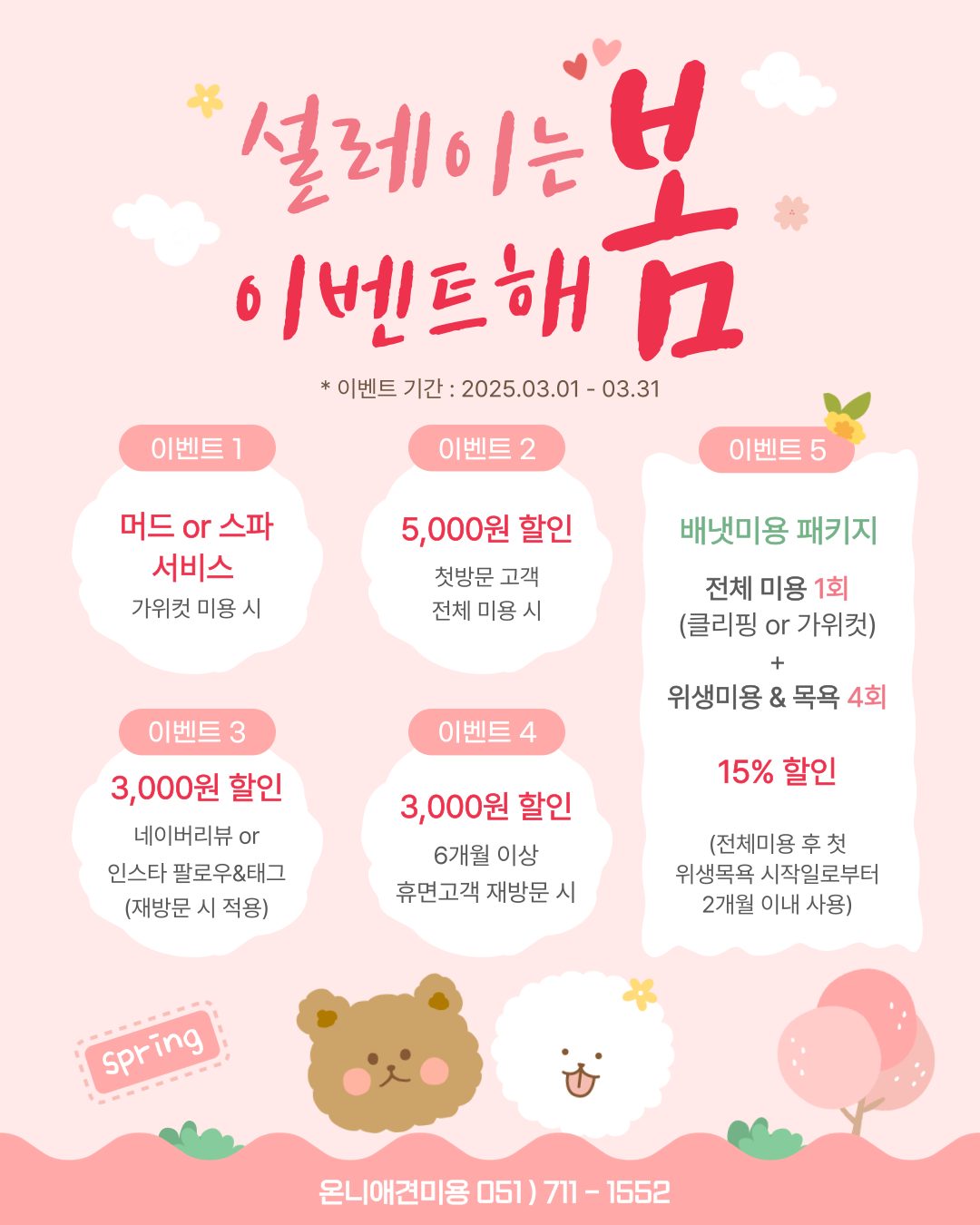 설레는 봄🌱 이벤트 해봄🌸