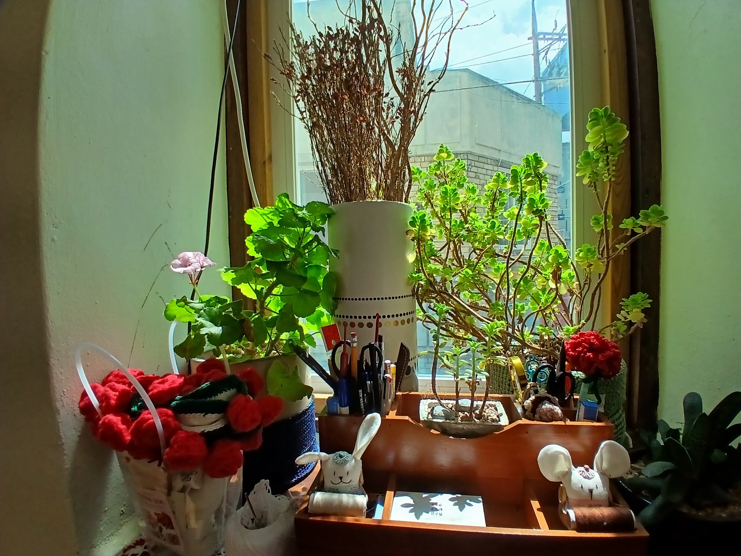니팅 갤러리 picture 4