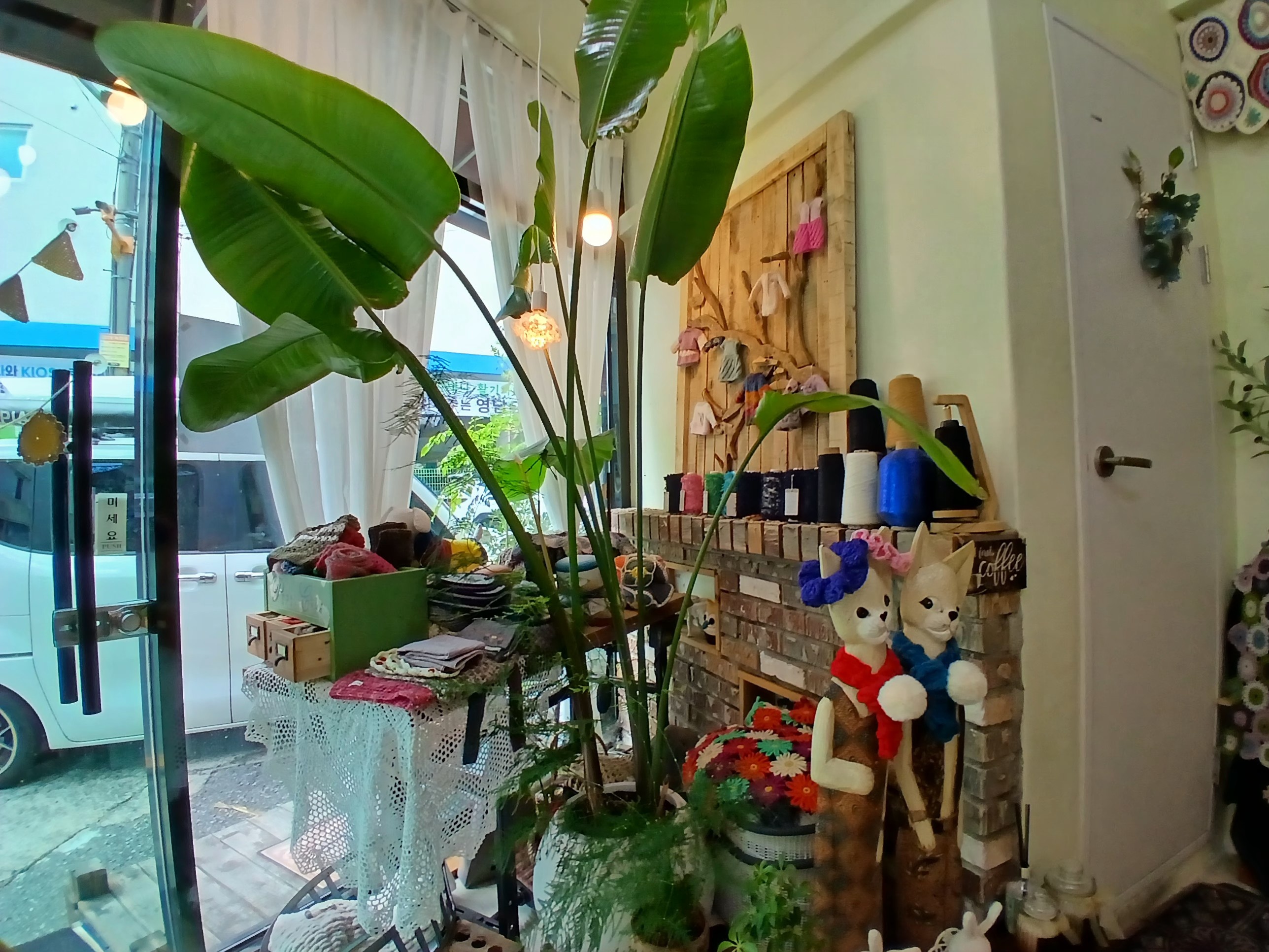 니팅 갤러리 picture 9