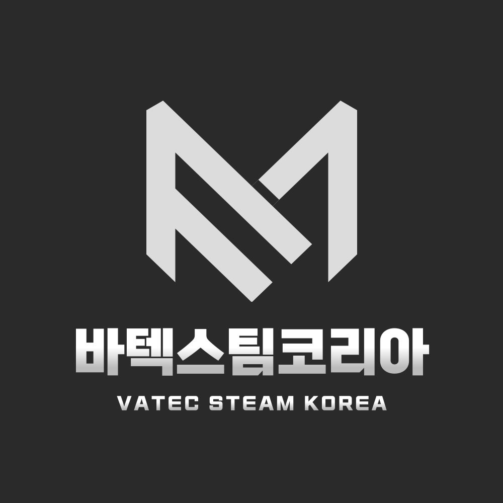 바텍스팀코리아