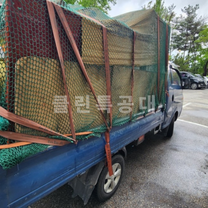 해피특공대 picture 5