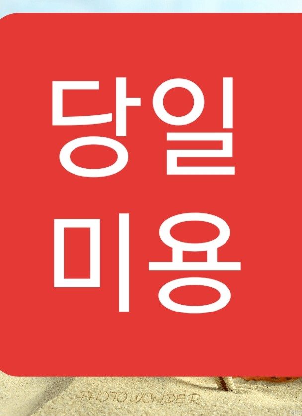 아지세상애견샵