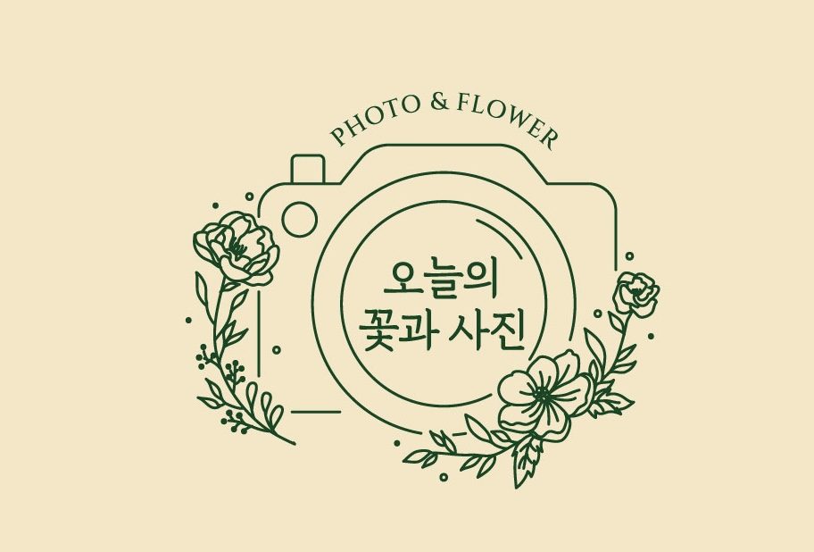 오늘의꽃과사진