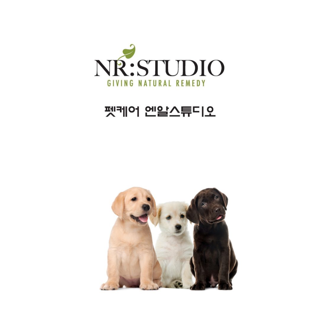 앤알스튜디오 NRstudio