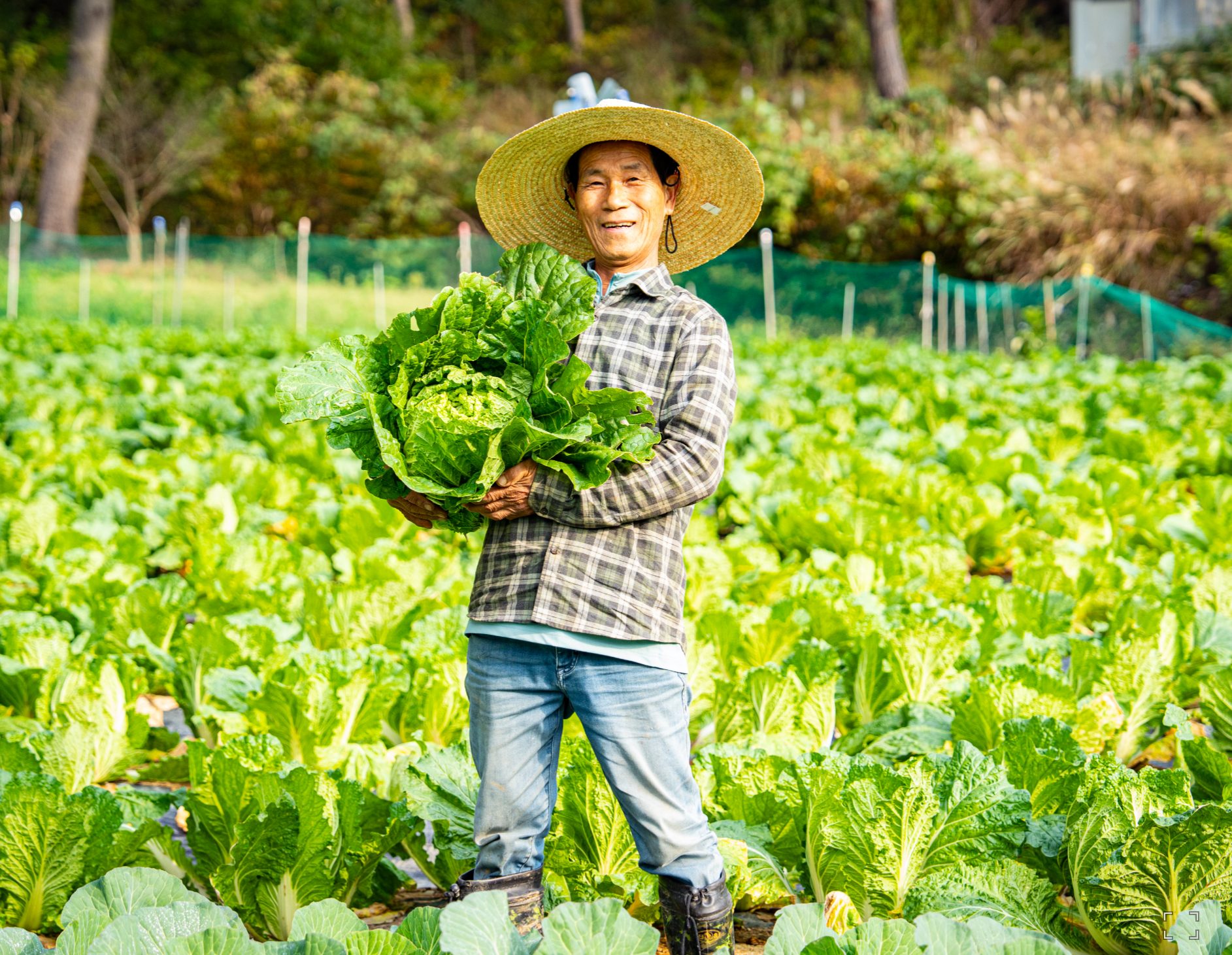 고기만큼 따뜻한 사람을 찾습니다