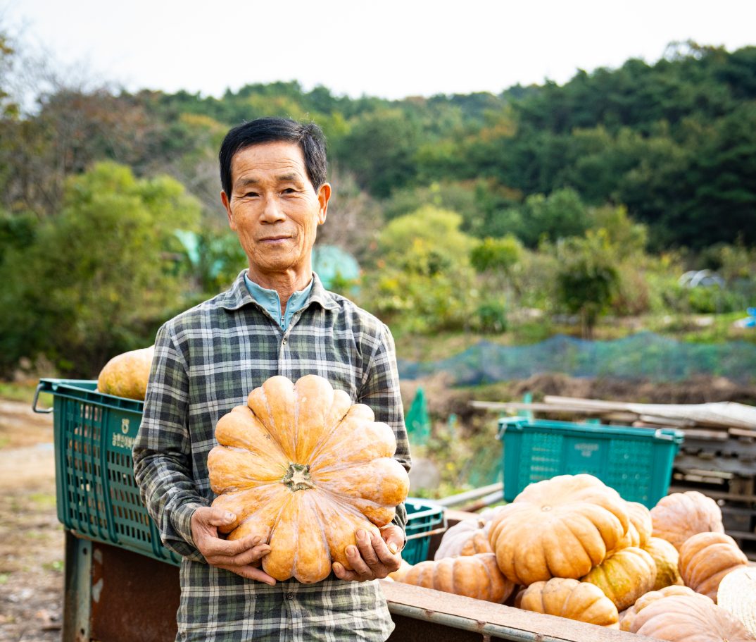 직접 재배한 신선한 채소로 만든 반찬과 함께 건강하고 특별한 맛을 선사합니다.