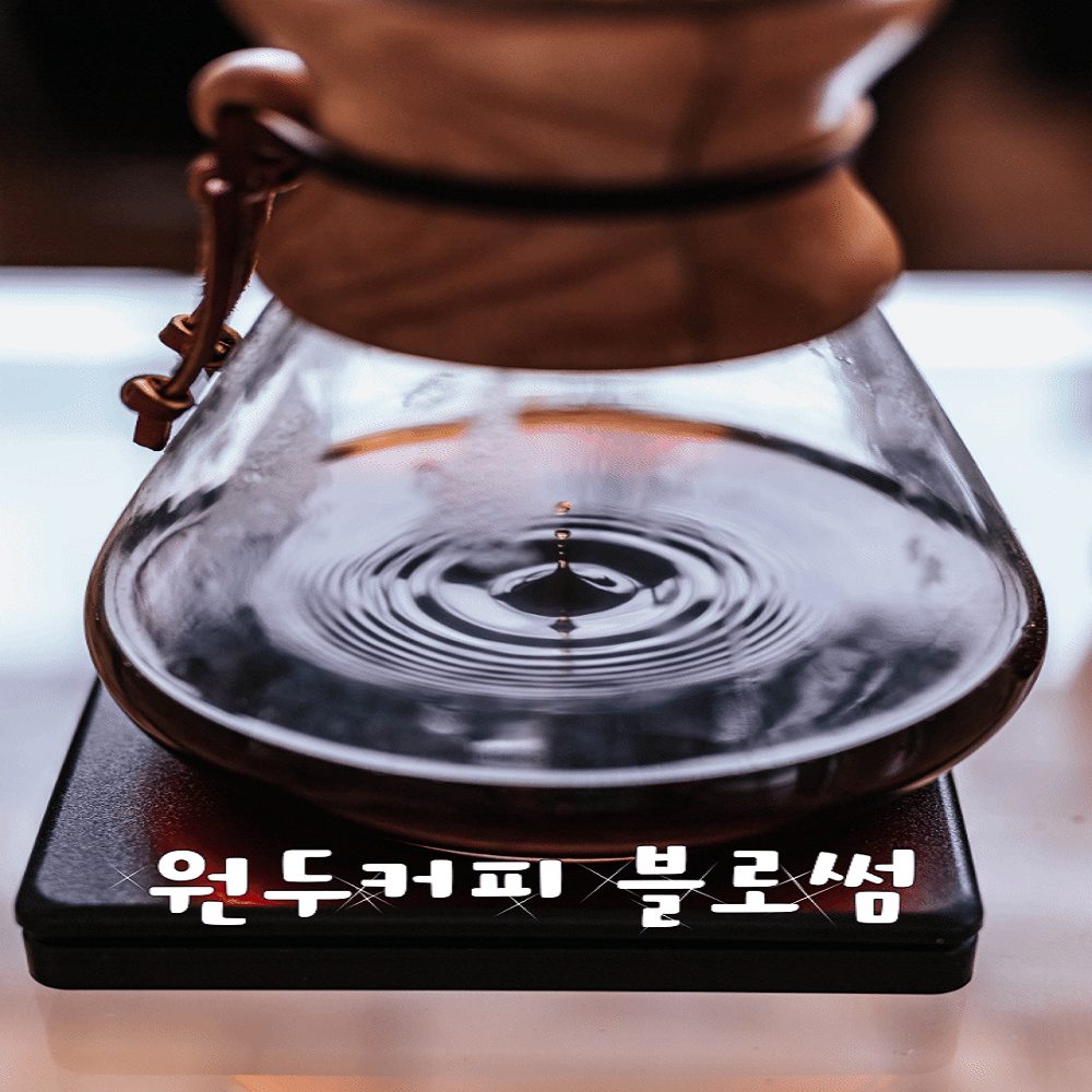 카페 블로썸