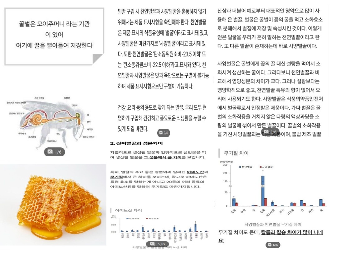 리킴바이오텍 picture 8