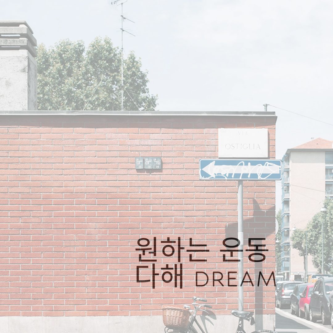 다해DREAM