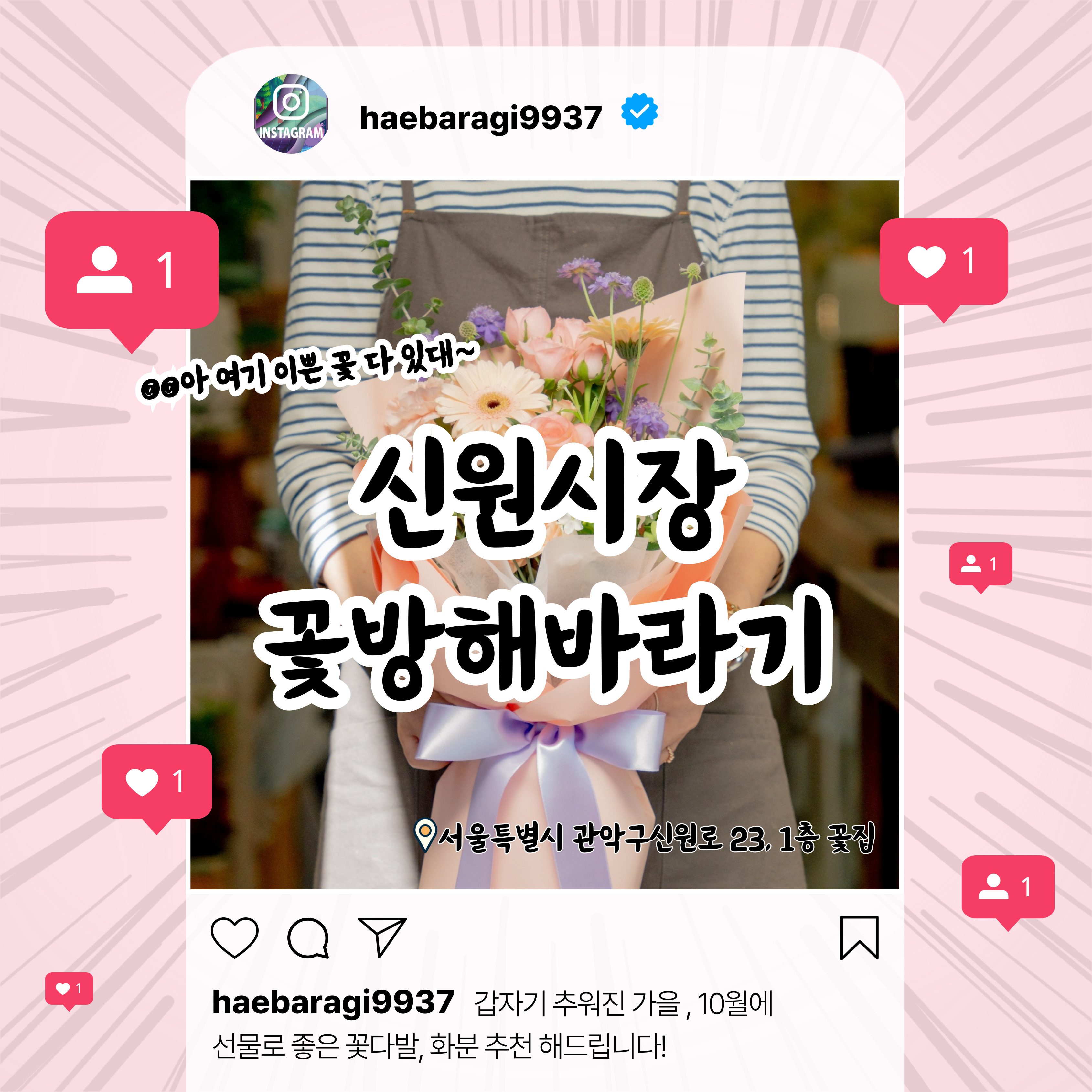 꽃방해바라기 소식 업로드 ~!