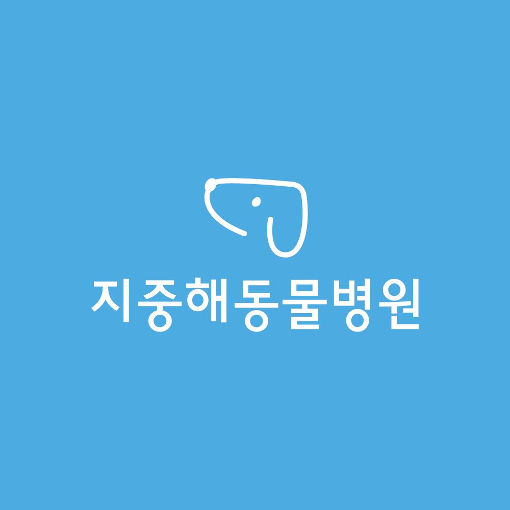지중해동물병원