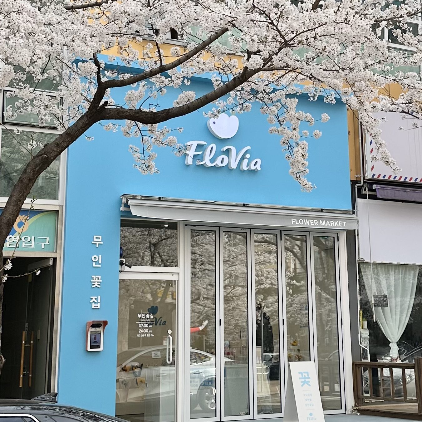 플로비아