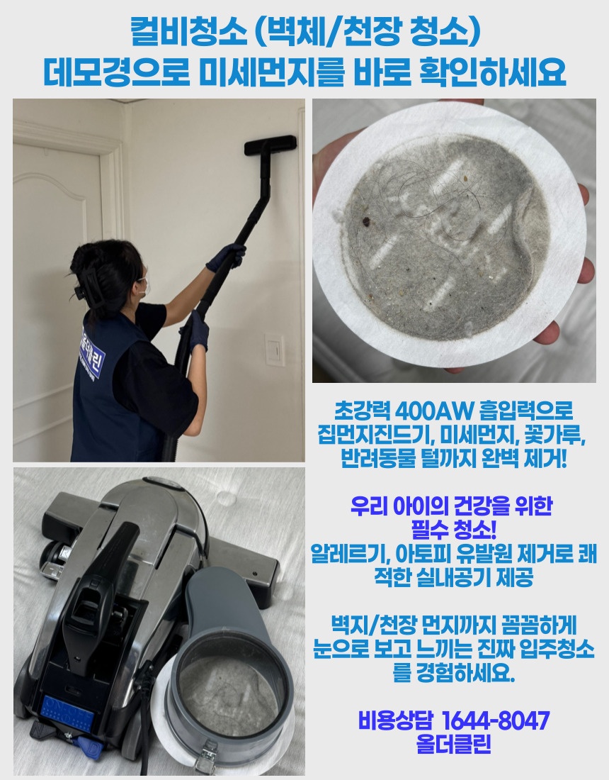 올더클린 picture 1
