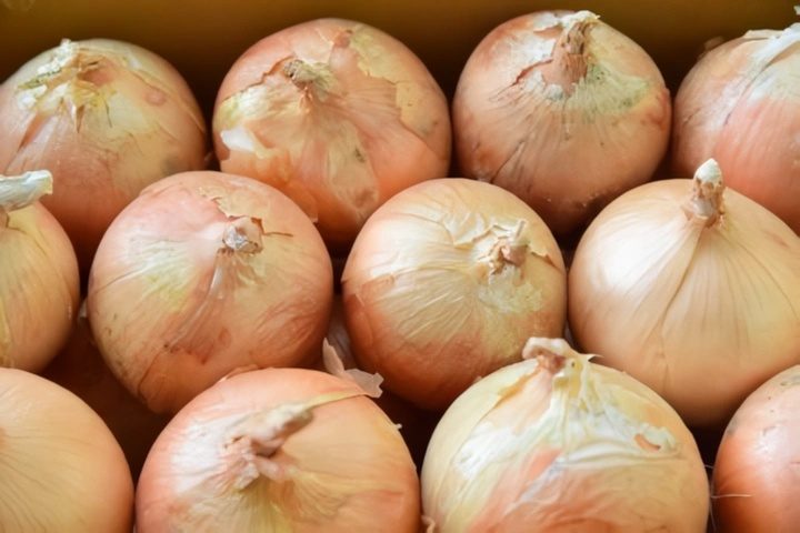 (특)햇양파3kg 9,900원 무료배송