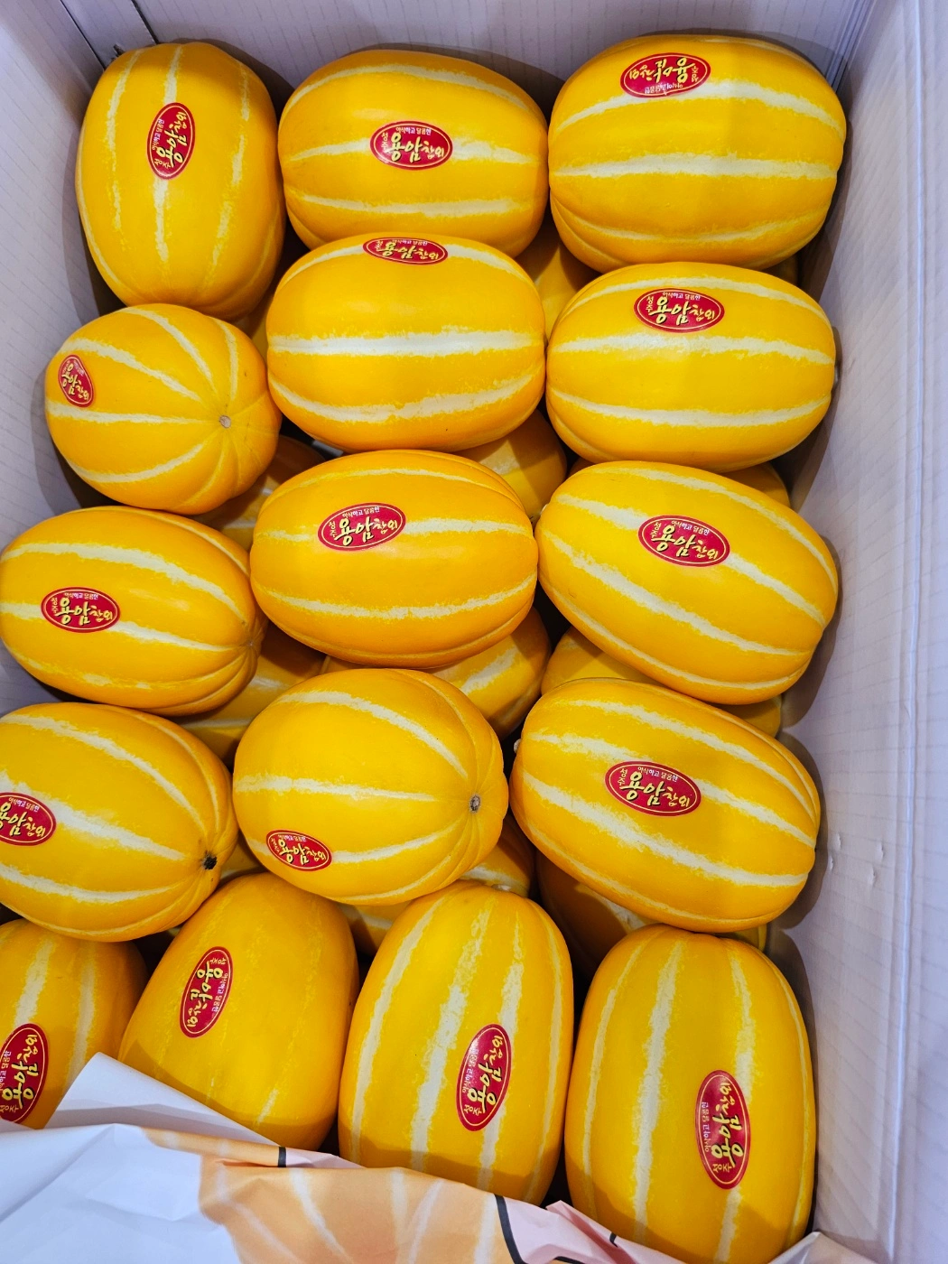 성주 참외 10kg 19,900원~가격 박살냈습니다!! | 경상북도 성주군 성주읍 | 과일판매 | 당근 비즈 소식
