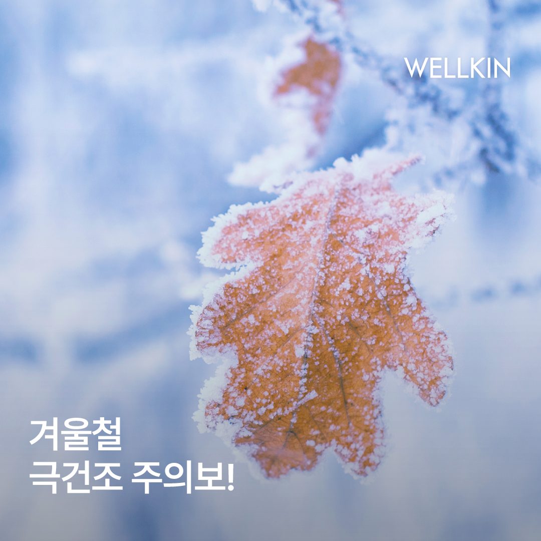 극심한 추위로 두피 극 건조 적신호 발령