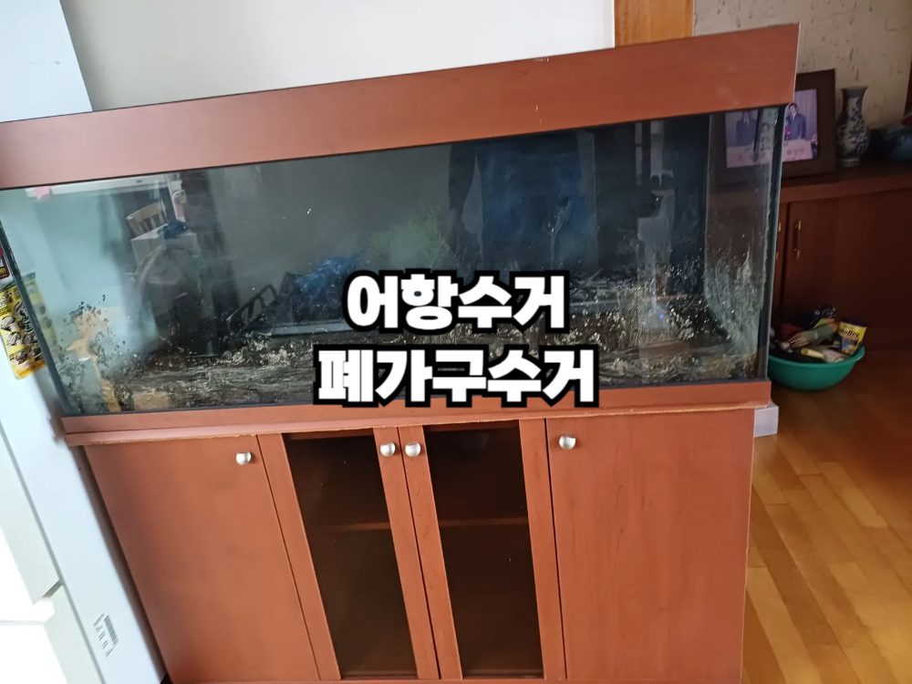 이제 안 쓰는 어항들, 공간만 차지하고 버리고 싶으시죠? 간편하게 해결해보세요!