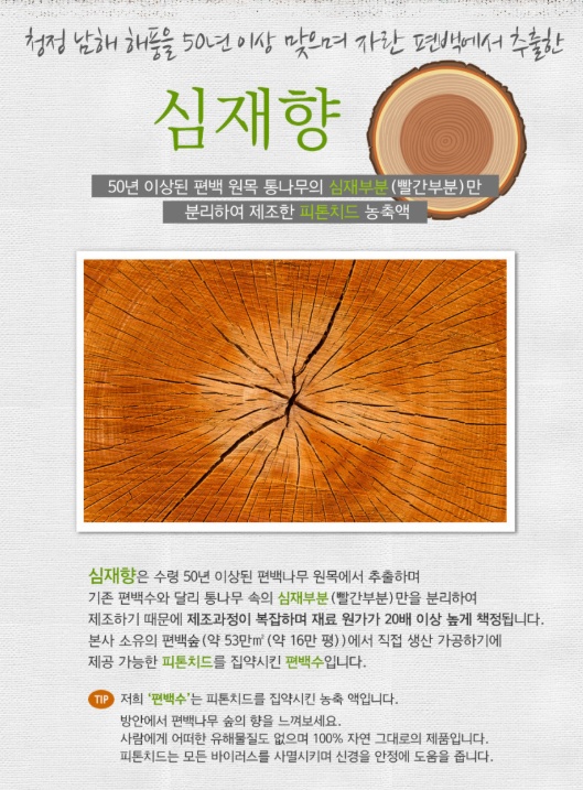 정태삼편백 picture 2
