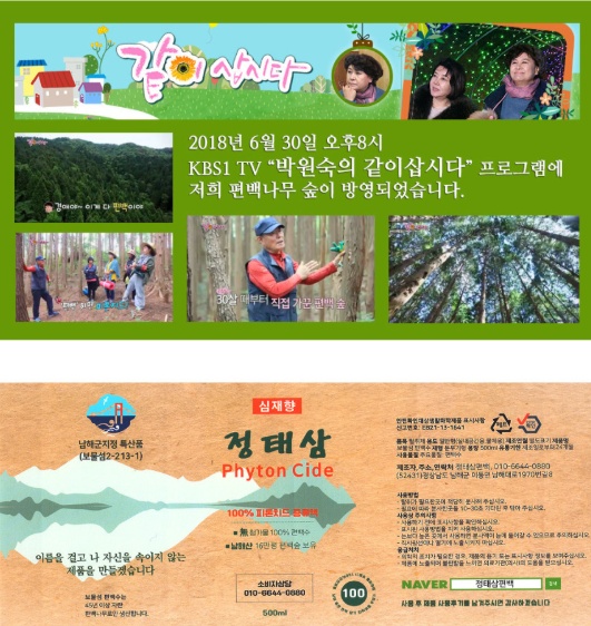 정태삼편백 picture 3