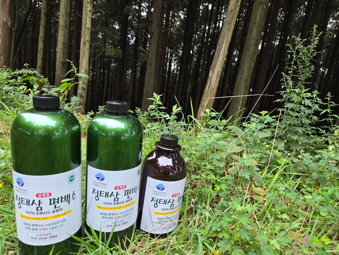 🌳 숲을 지켜 만든 100% 무공해 편백수🌿