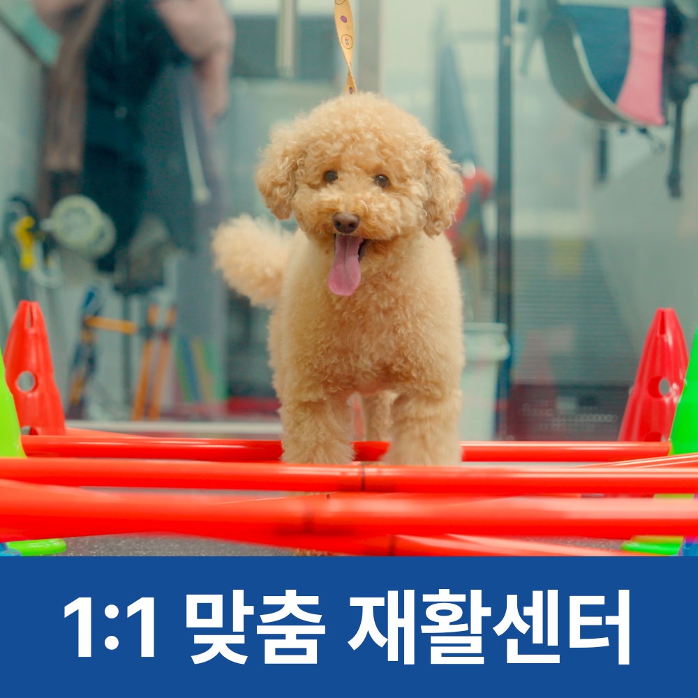 뉴로동물의료센터24시 picture 4