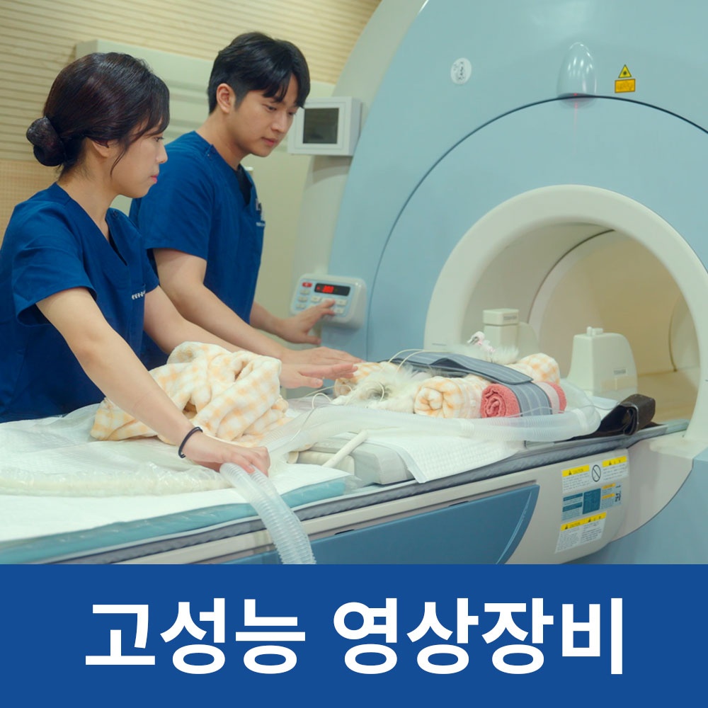 뉴로동물의료센터24시 picture 2