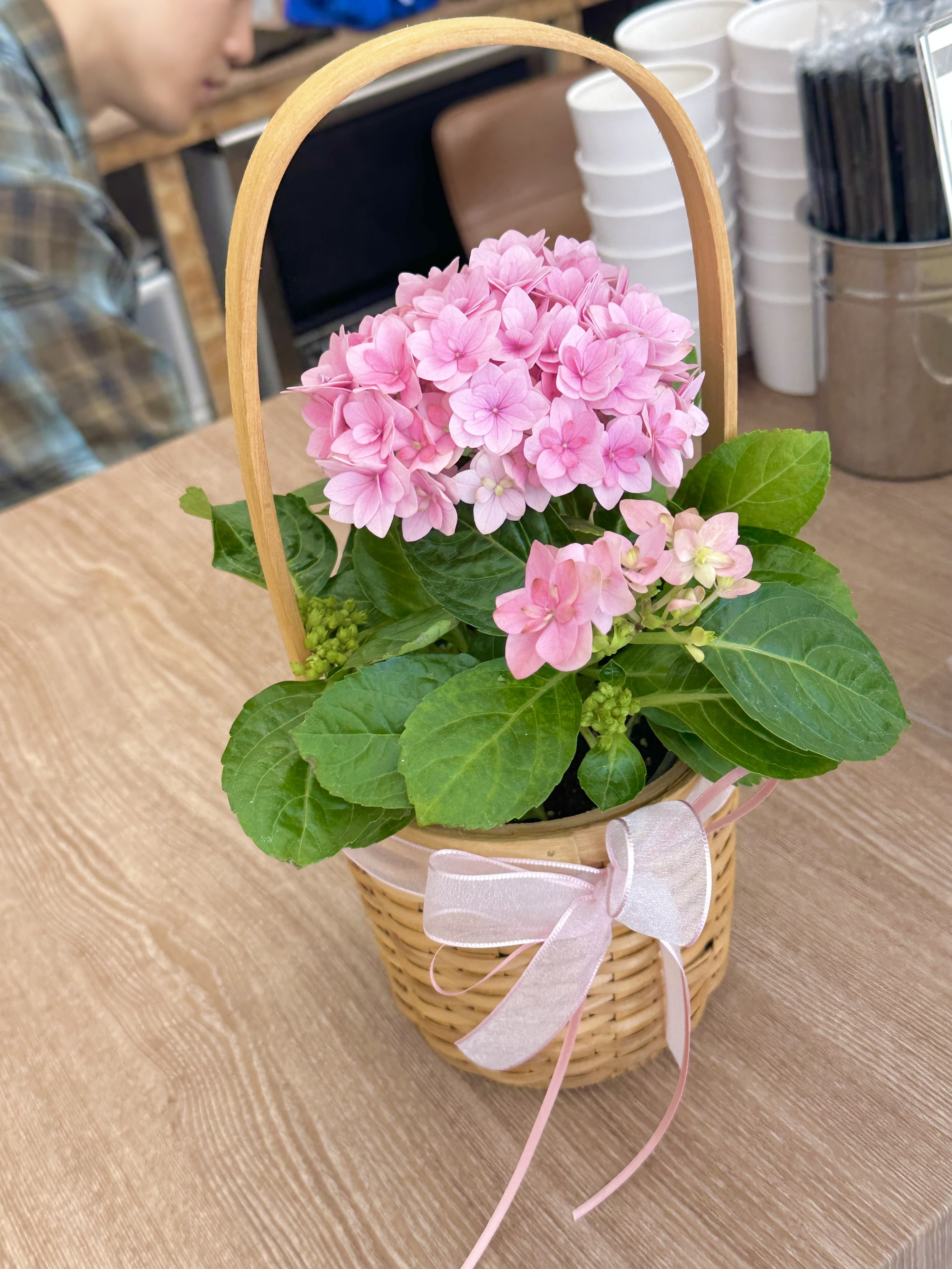 리엘더가든 picture 5