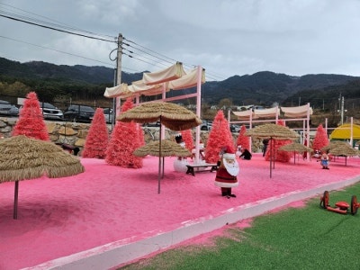 봉식이놀이터 picture 8