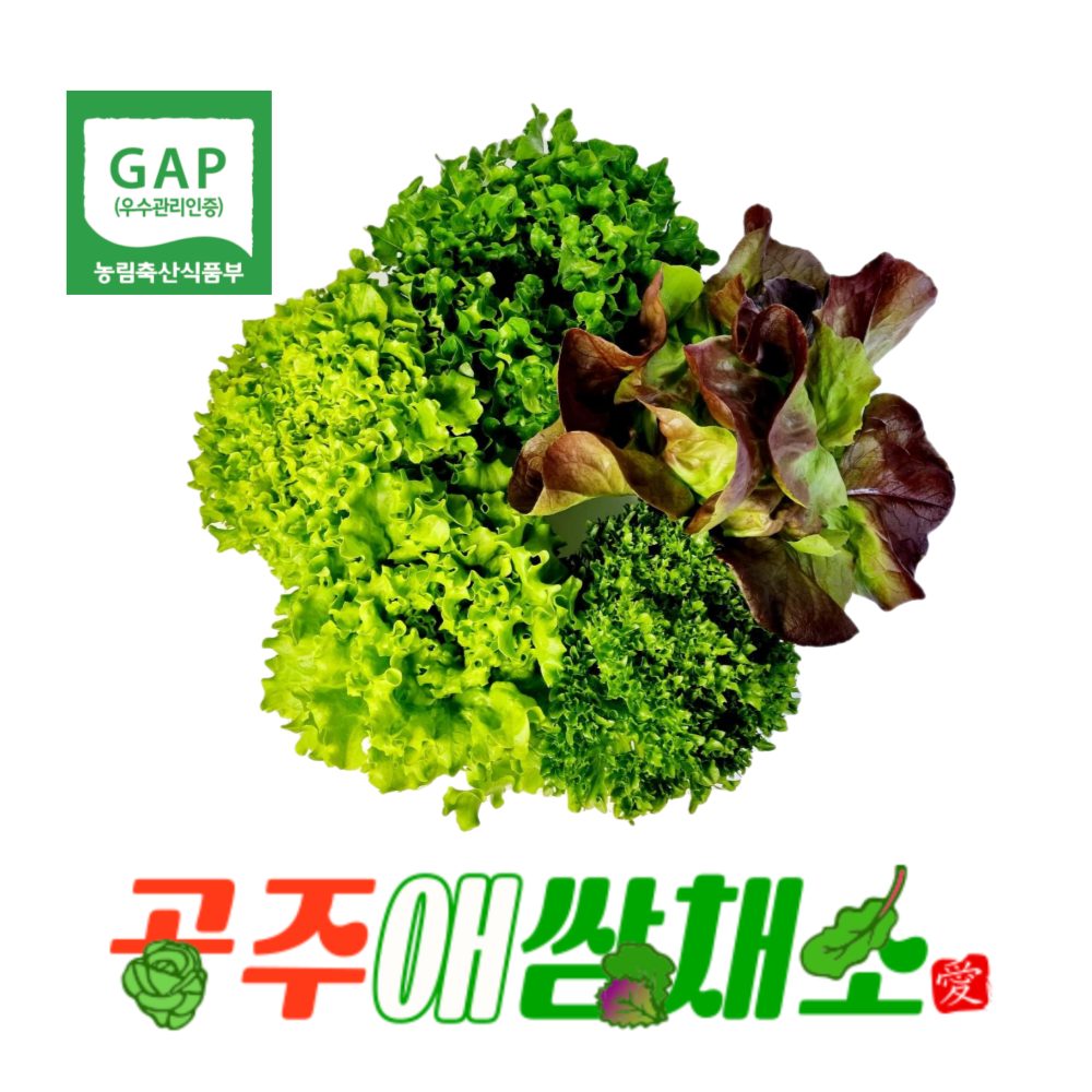 공주애쌈채소
