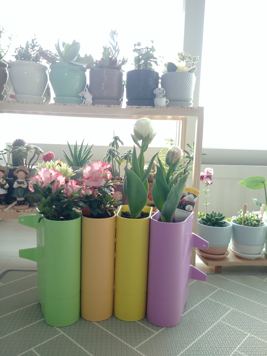 베란다 화분 picture 1
