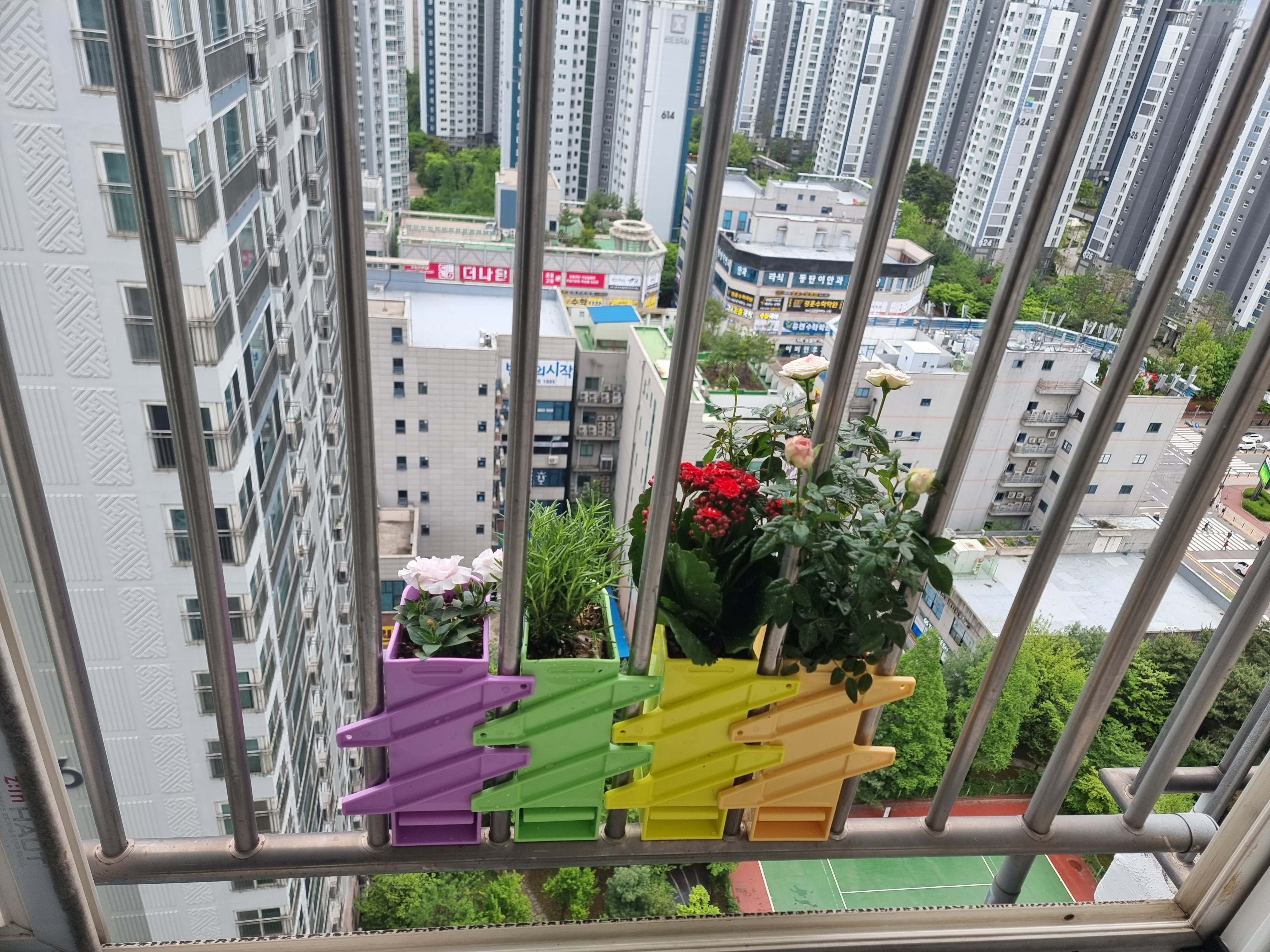 베란다 화분 picture 6