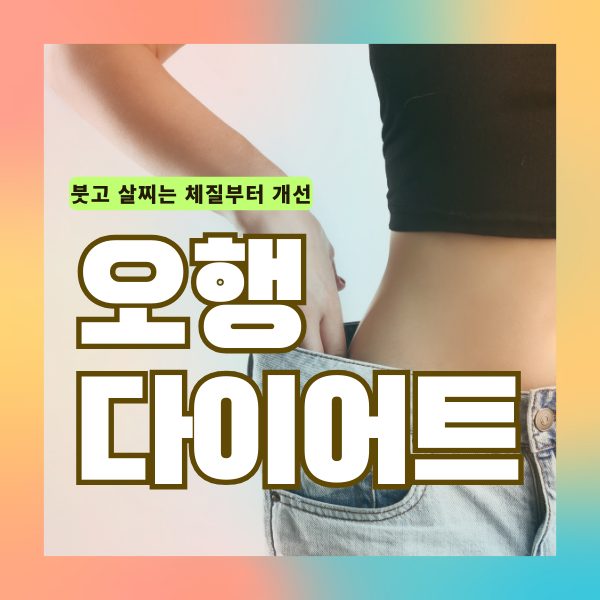 오행다이어트
