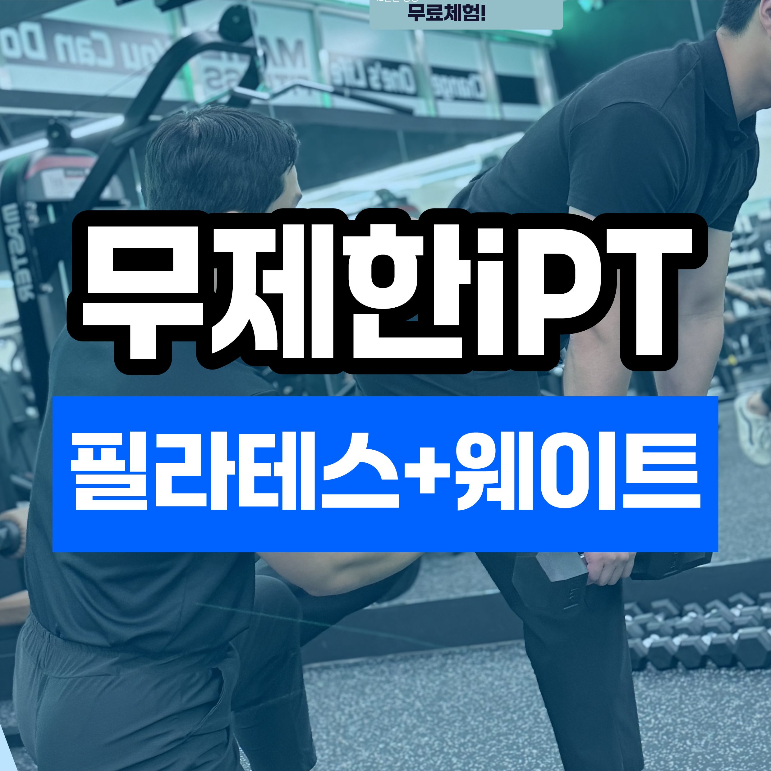 매일피트니스 문정법조점