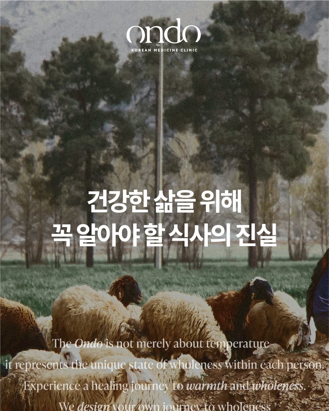 분당경희온도한의원 picture 8
