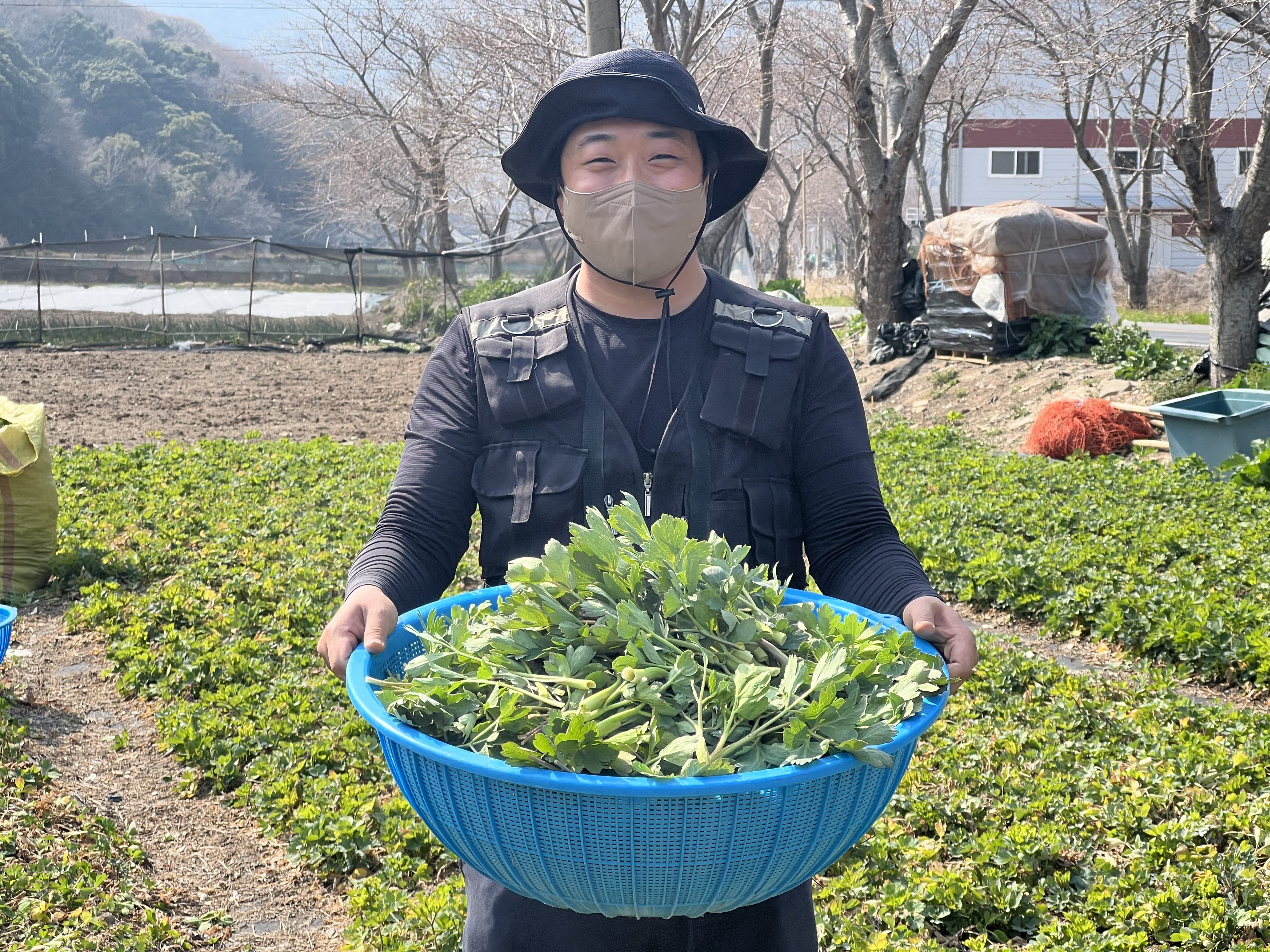 돌산총각