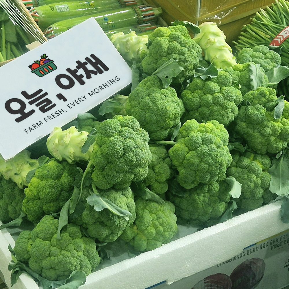 오늘야채