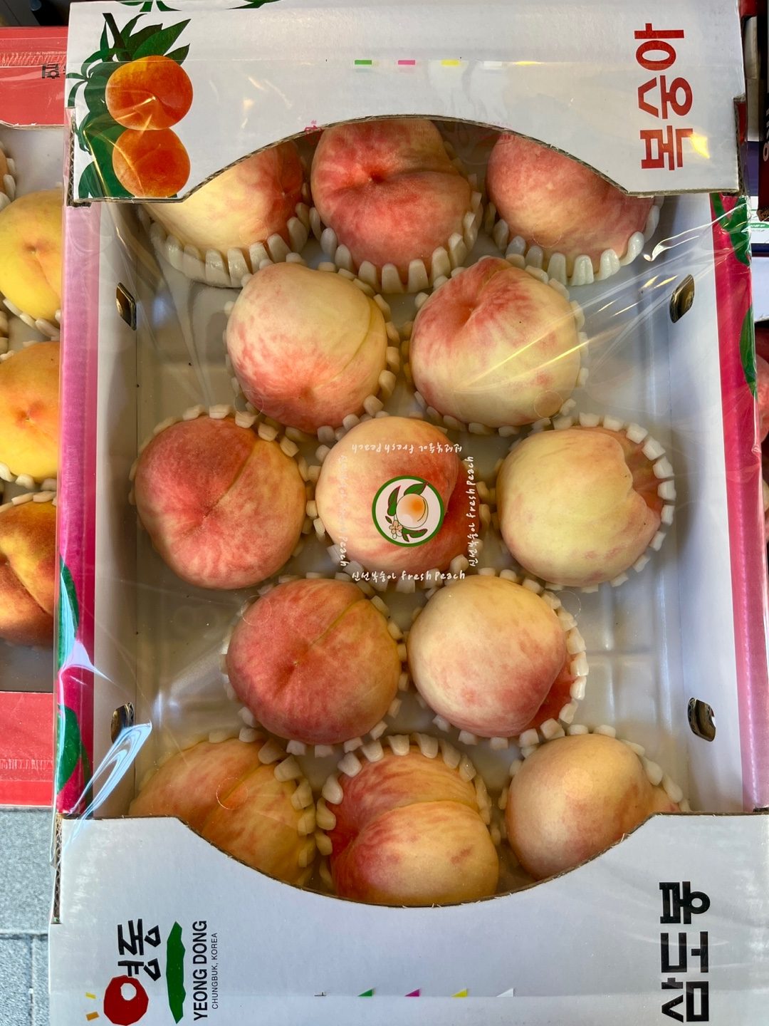 🍈8월15일(금) 오늘의 입고과일🍉배달가능!