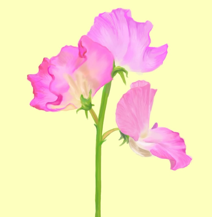 미술로 소통하는 사람들 picture 4