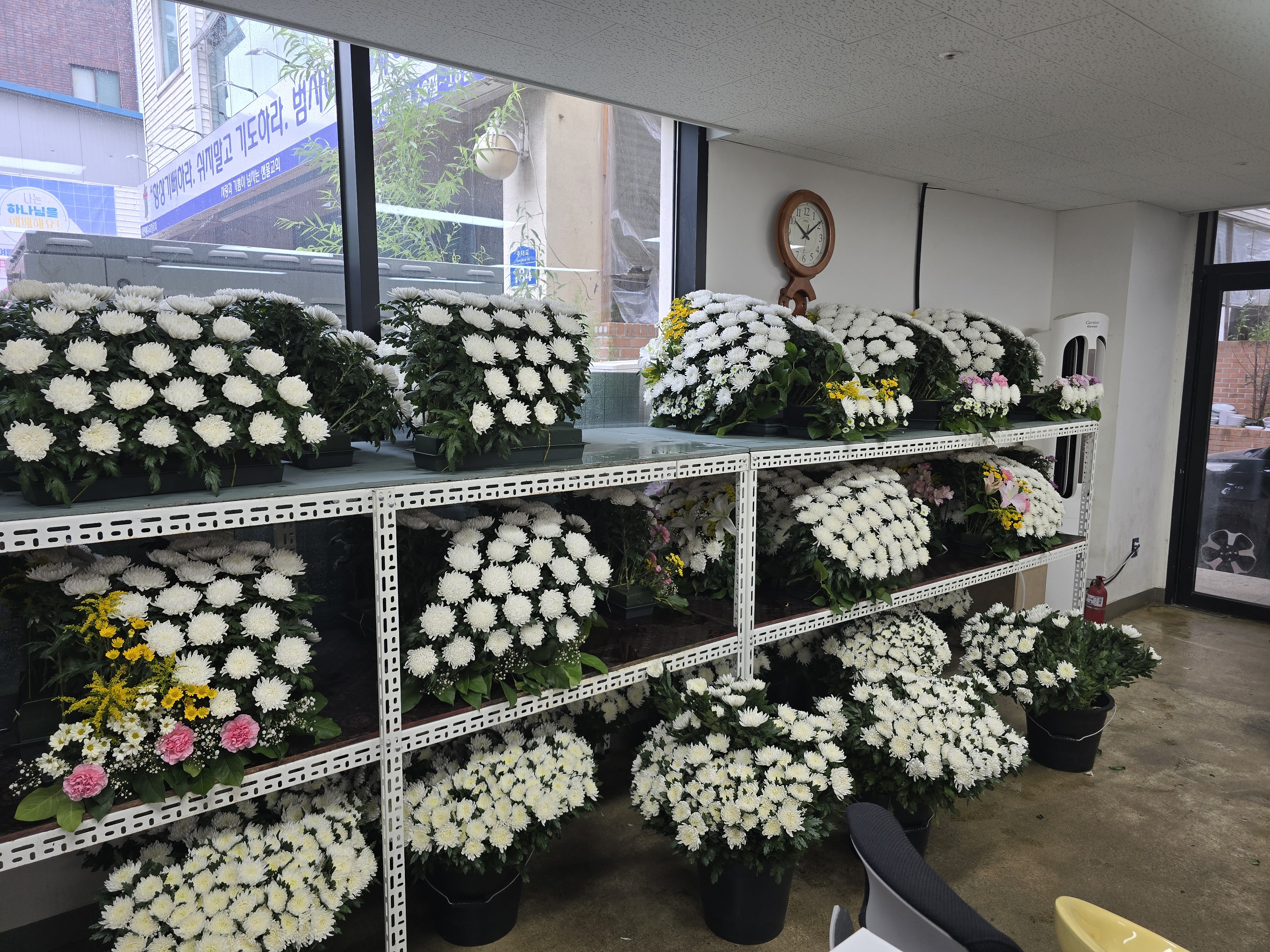 장례의모든것 picture 5