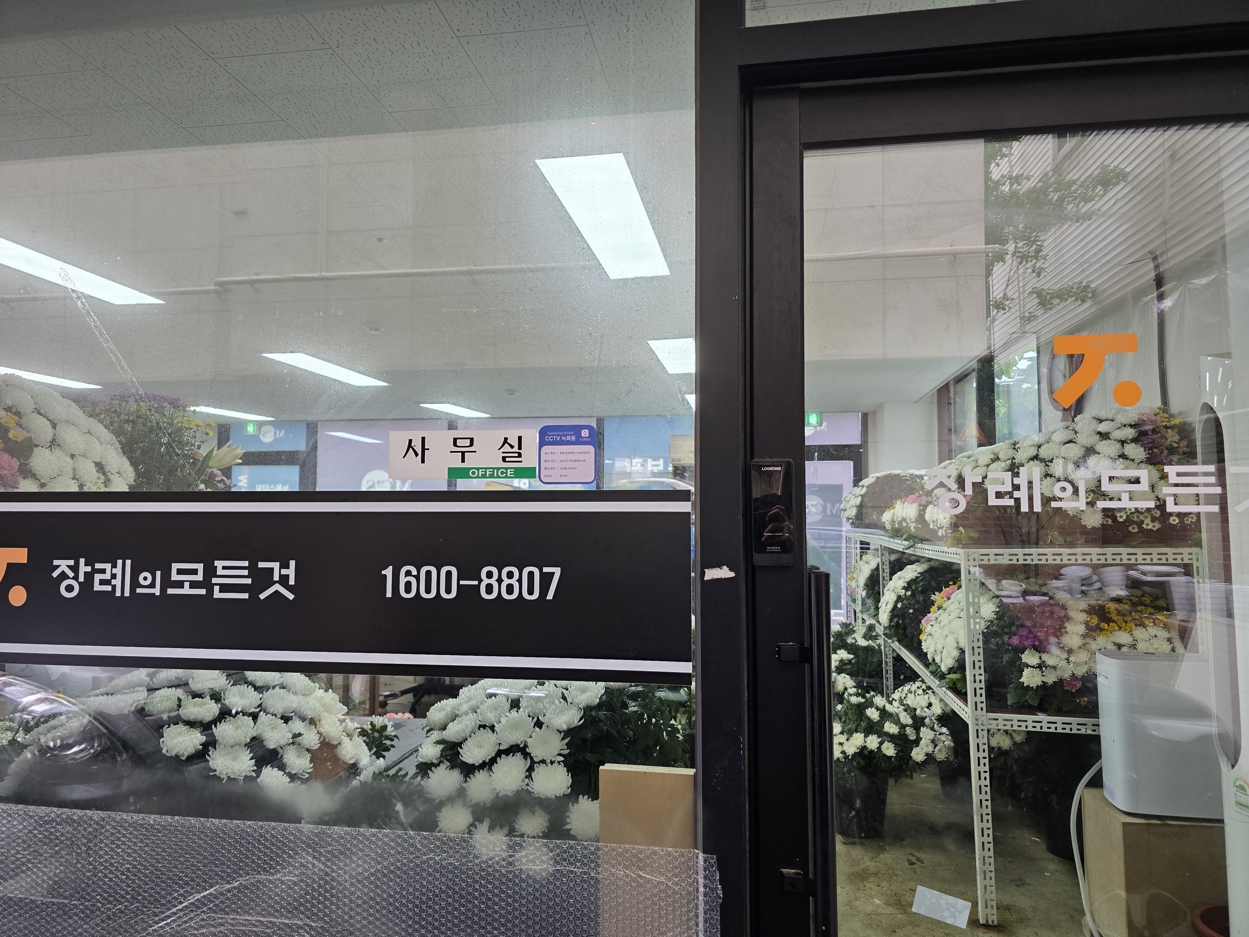 장례의모든것 picture 4