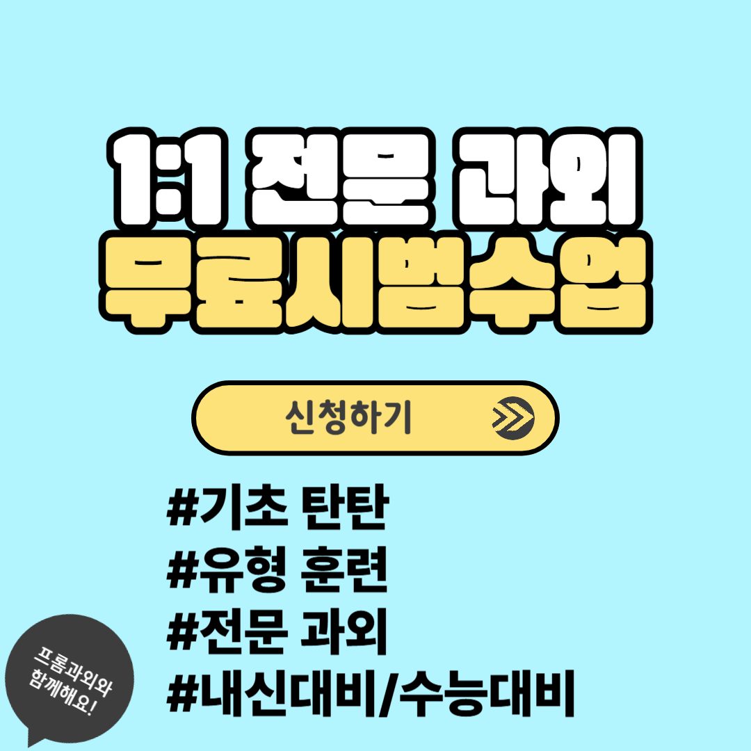 세종과외
