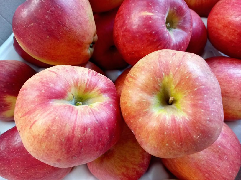 🍎 경북 홍로 5kg 단돈 2만9천9백! 흠있어서 싸