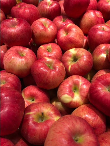 🍎 경북 홍로 5kg 단돈 2만9천9백! 흠있어서 싸